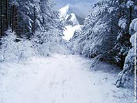 Winterlandschaft